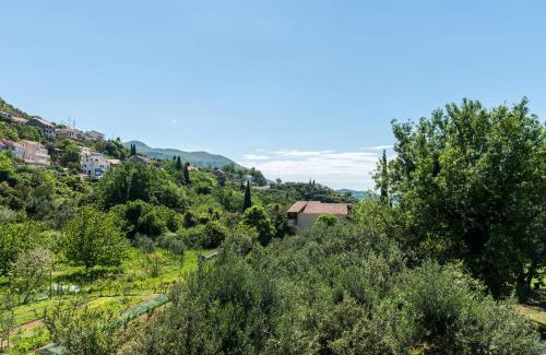 Mlini Apartamento | Apartmani Tabain I