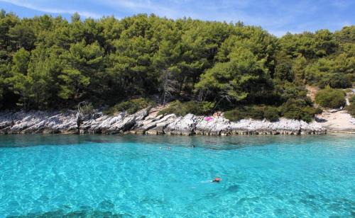 Zavalatica Apartamento | Apartmani Tomic