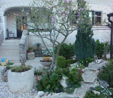 Mali Maj Apartamento | Apartmani Villa Otilija