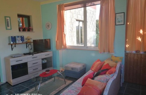 Kneza Apartamento | Apartmani Zute