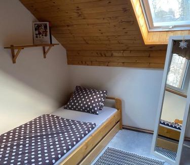 Ceske Petrovice Apartamento | Apartmany U vleku 6