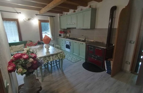 Santo Stefano di Cadore Apartamento | Apartamento 'Val Visdente 1' con vistas a la montaña, jardín compartido y Wi-Fi