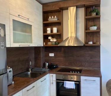 Tomicici Apartamento | Apartmen Sofia