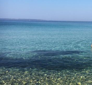 Silba Apartamento | APARTMENT ŽUŽI Otok Silba Hrvatska