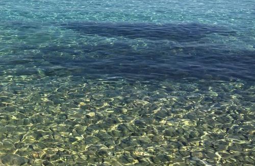 Silba Apartamento | APARTMENT ŽUŽI Otok Silba Hrvatska
