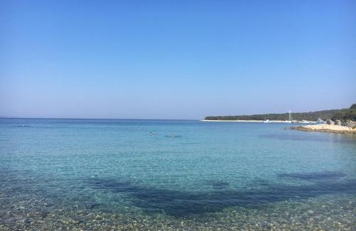 Silba Apartamento | APARTMENT ŽUŽI Otok Silba Hrvatska