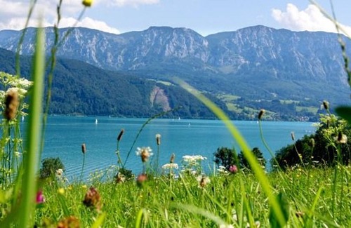 Attersee Apartamento | Apartamento 103 - Apartamentos - Heidi Leitner