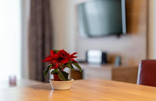 Feldberg Apartamento | Apartment 207