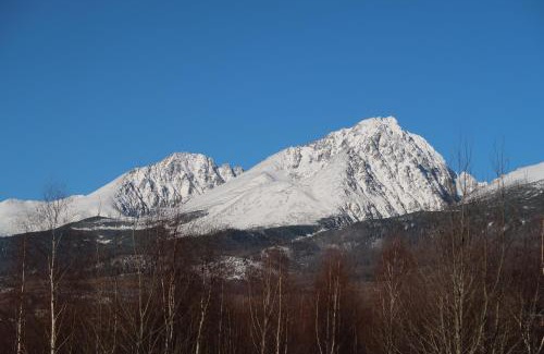 Velky Slavkov Apartamento | Apartment 55 Tatry