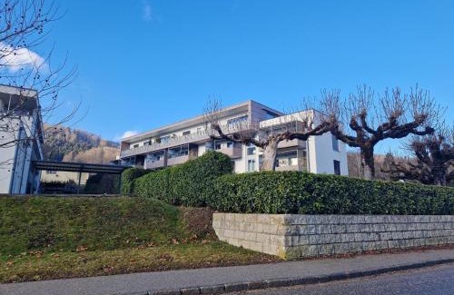 Altmuenster Apartamento | Apartment Altmünster mit Traunsteinblick