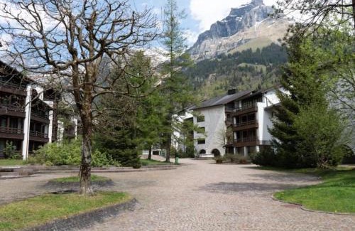 Engelberg Apartamento | Apartment Am Dürrbach 1-113 by Interhome
