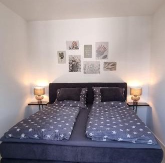 Weyhausen Apartamento | Apartment am Mühlenteich