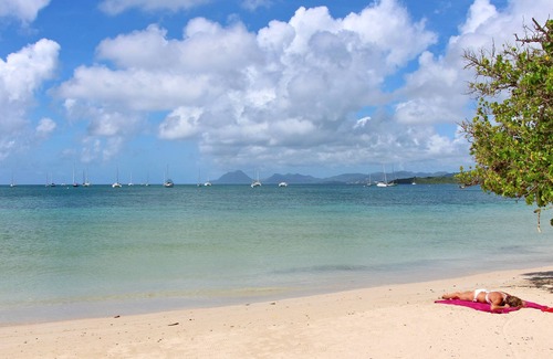 Sainte-Anne Apartamento | Apartment Amaryllis (500 m from the Pointe Marin BEACH)