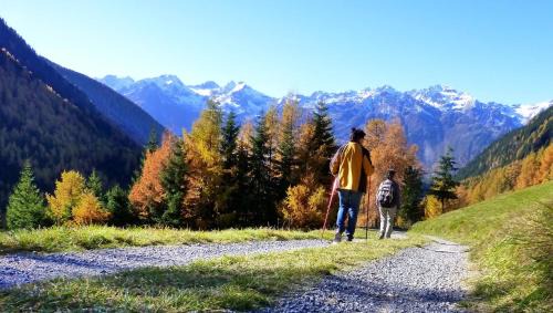 Oetztal-Bahnhof Apartamento | Apartment Amberg