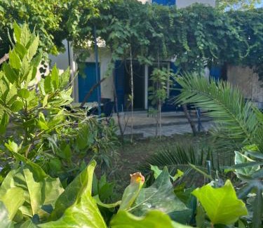 Donja Lastva Apartamento | APARTMENT AMBLI HOUSE