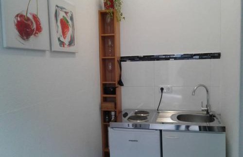 Steyr Apartamento | Apartment AP 1 im Zentrum Steyr, BESTROOMS eU