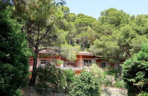 Andora Apartamento | Apartment Apartment C2 - AND111 by Interhome