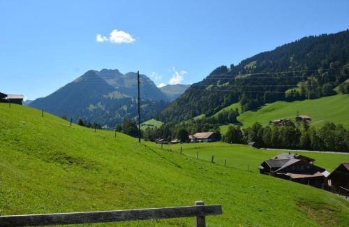 Zweisimmen Nr Gstaad Apartamento | Apartment Arduus by Interhome