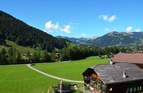 Zweisimmen Nr Gstaad Apartamento | Apartment Arduus by Interhome