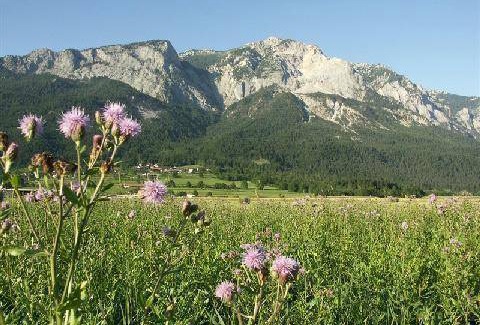 Notsch im Gailtal Apartamento | Apartamento ∙ 1 habitación ∙ 5 personas