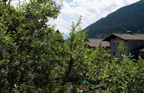 Eben im Pongau Casa | Apartment Bär Comfortable holiday residence