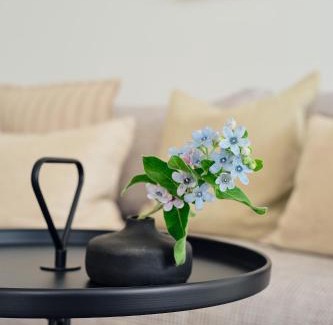 Zirchow Apartamento | Apartment B 8 "Pine Hill Resort"