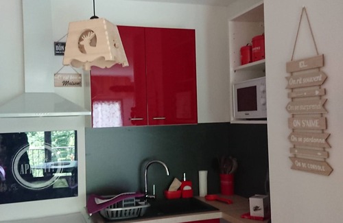 Escouloubre-les-bains Apartamento | Apartment / gite