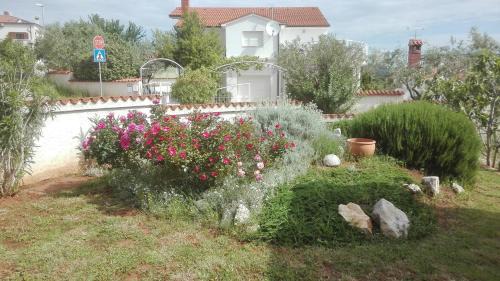 Liznjan Apartamento | Apartment Barba