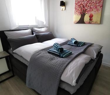 Hassels Apartamento | Apartment bei der Palme mit Sauna Möglichkeit