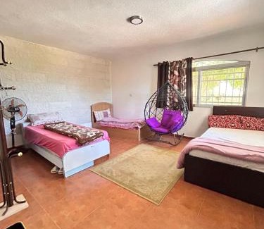 Suwailih Apartamento | apartment between ajloun castle and Jerash ruins