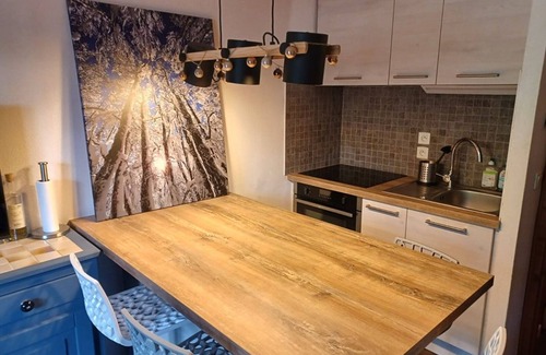Station de Drouzin le Mont Apartamento | Apartamento Le Biot, 1 dormitorio, 4 personas