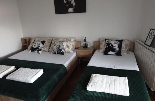 Banja Koviljaca Apartamento | Apartment Božur