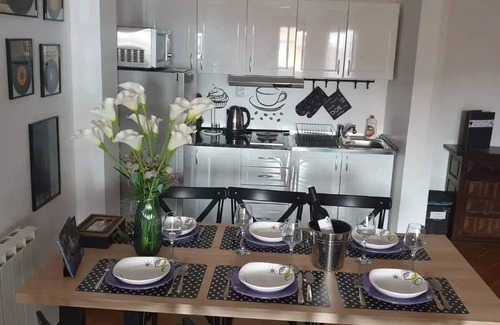 Banja Koviljaca Apartamento | Apartment Božur - One Bedroom Apartment with Balcony and River View
