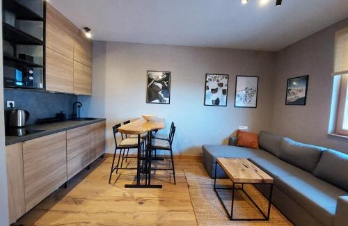 Jahorina Apartamento | Apartment C519 - Aparthotel Vučko Jahorina - Private Host