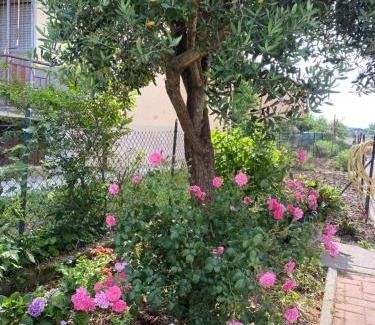 Caorso Apartamento | Apartment Caorso Rino