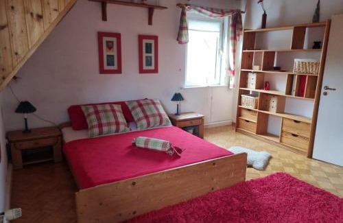 Enkenbach-Alsenborn Apartamento | Apartment Chalet Kitzbühel