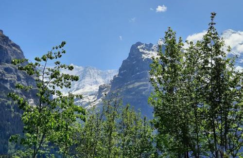 Grindelwald Apartamento | Apartment Chalet zur Höhe by Interhome