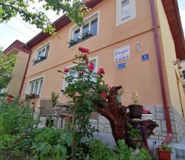 Visegrad Apartamento | Apartment Danijel