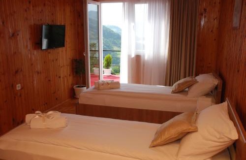 Donji Milanovac Casa | Apartment Danubius