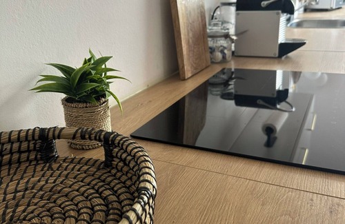 Duisburg Sud Apartamento | Apartamento 'Deluxe Loftapartement Big Size' con terraza compartida y Wi-Fi