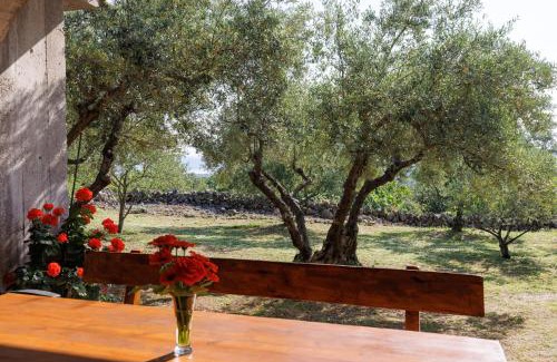 Nenadici Apartamento | Apartment Depikolo *countryside holiday