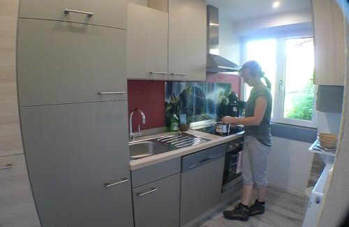 Saalbach-Hinterglemm Apartamento | Apartment Edith Top 1
