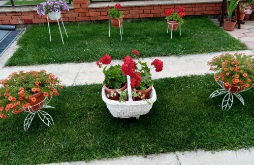 Prilep Casa | Apartment Elmari