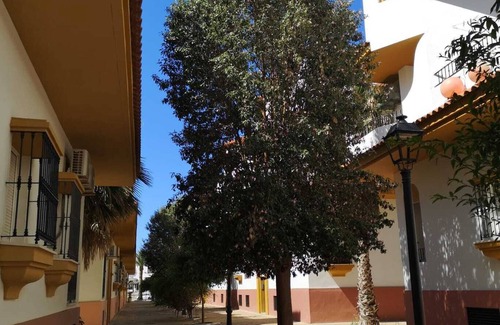 Zahara de los Atunes Apartamento | Apartamento Aretusa Luz