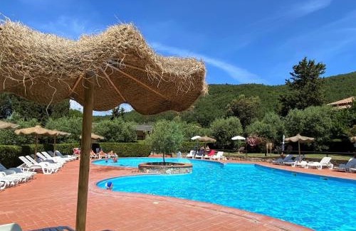 Riparbella Apartamento | Apartment Falco-28 by Interhome