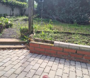 Magdeburg Apartamento | Apartment Ferienwohnung Monteurwohnung Ecke