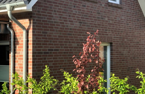 Thulsfeld Apartamento | Apartamento / instalador Heidelerche en la presa de Thülsfeld max 4 pe