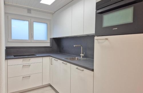 Wohlen Apartamento | Apartment for 3, close to Zurich and Luzern, free private parking