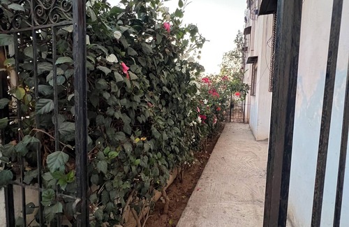 Cite Adrar Apartamento | Apartment for rent with 1 bedroom and 2 living rooms in a quiet neighborhood.