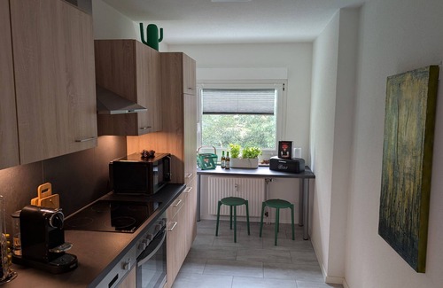Unterkirnach Apartamento | Apartamento 'Fuchsbau' con vistas al lago y balcón